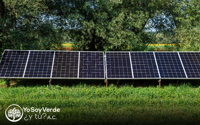Paneles Solares y Autos Eléctricos