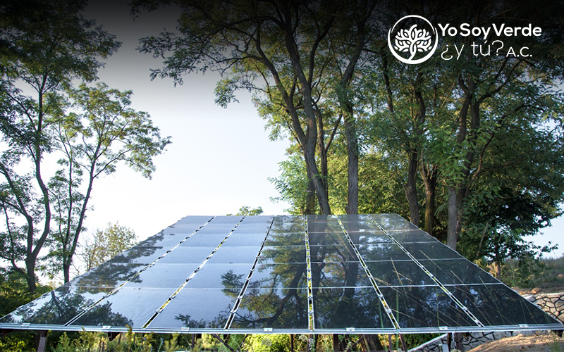 Paneles Solares y Autos Eléctricos
