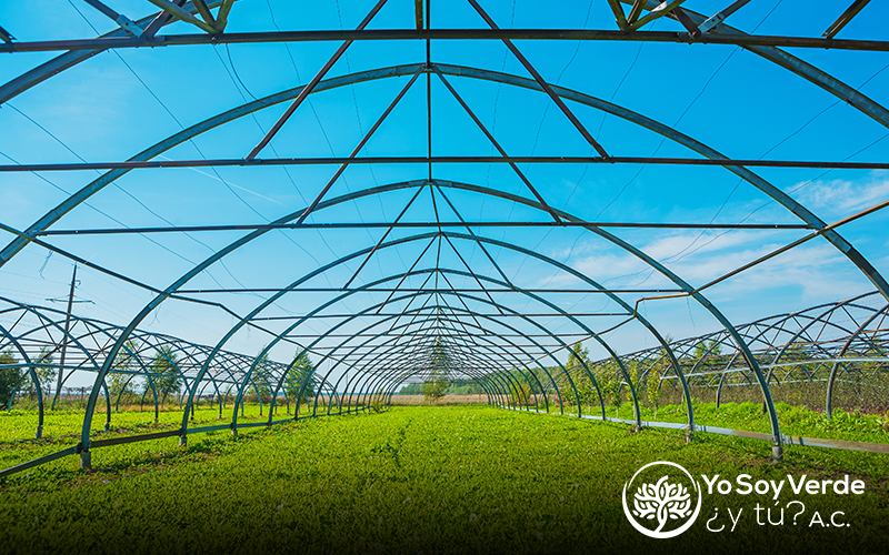 Promoviendo Inversiones Verdes